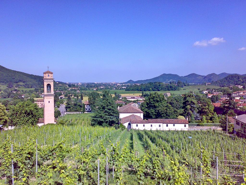 Villa Pollini Torreglia Экстерьер фото