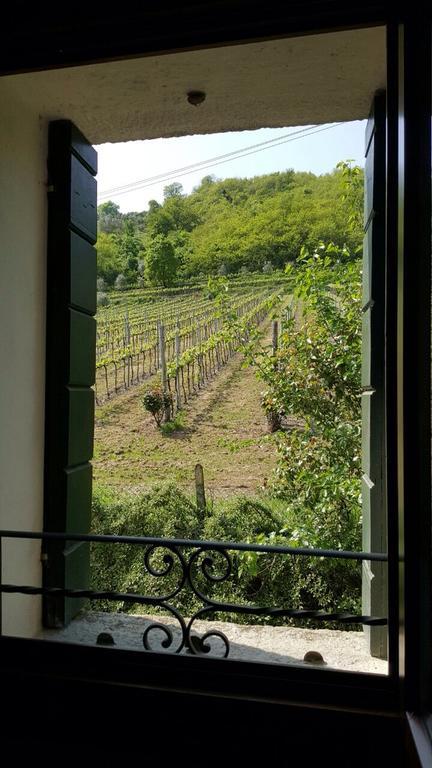 Villa Pollini Torreglia Экстерьер фото